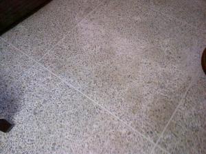 mantenimiento y limpieza de pisos pulido cristalizado brillado en republica dominicana empresa servicios a domicilio santo domingo